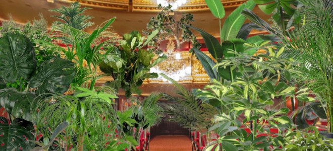 Concert pour plantes, canopée sur canapés à l’Opéra de Barcelone