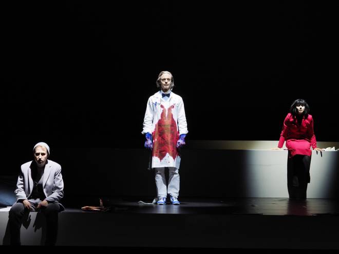 Wolfgang Resch, Georg Klimbacher et Roxane Choux - Le Visage dans le miroir par Carlos Wagner