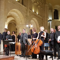 Joël Suhubiette, Concerto Soave & Les Éléments