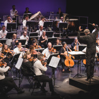 Orchestre de Pau Pays de Béarn & Fayçal Karoui