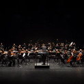 Nicolas André & Orchestre de l'Opéra de Limoges